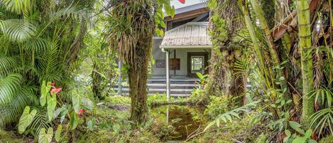 A tropical garden with a rustic building, a small pond, and dense foliage.