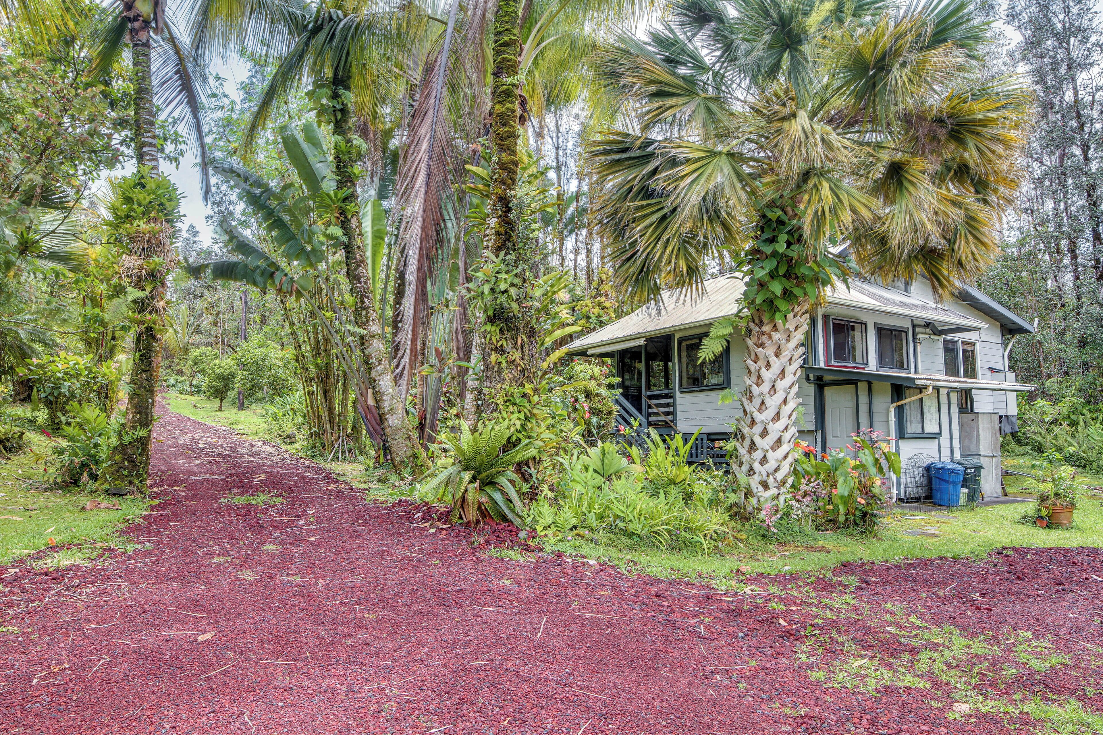 A house surrounded by lush greenery and a red gravel path.