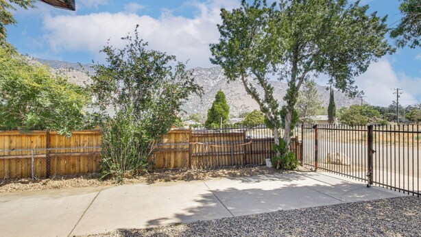 A fenced backyard with trees, a wooden fence, and a concrete patio.