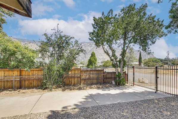 Une cour arrière clôturée, avec des arbres, une clôture en bois et une terrasse en béton.