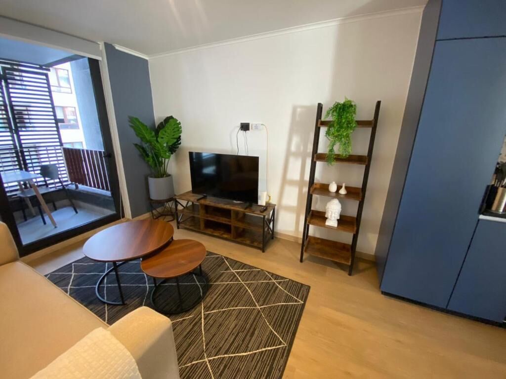 A modern living room with a sofa, coffee table, TV, and a plant.