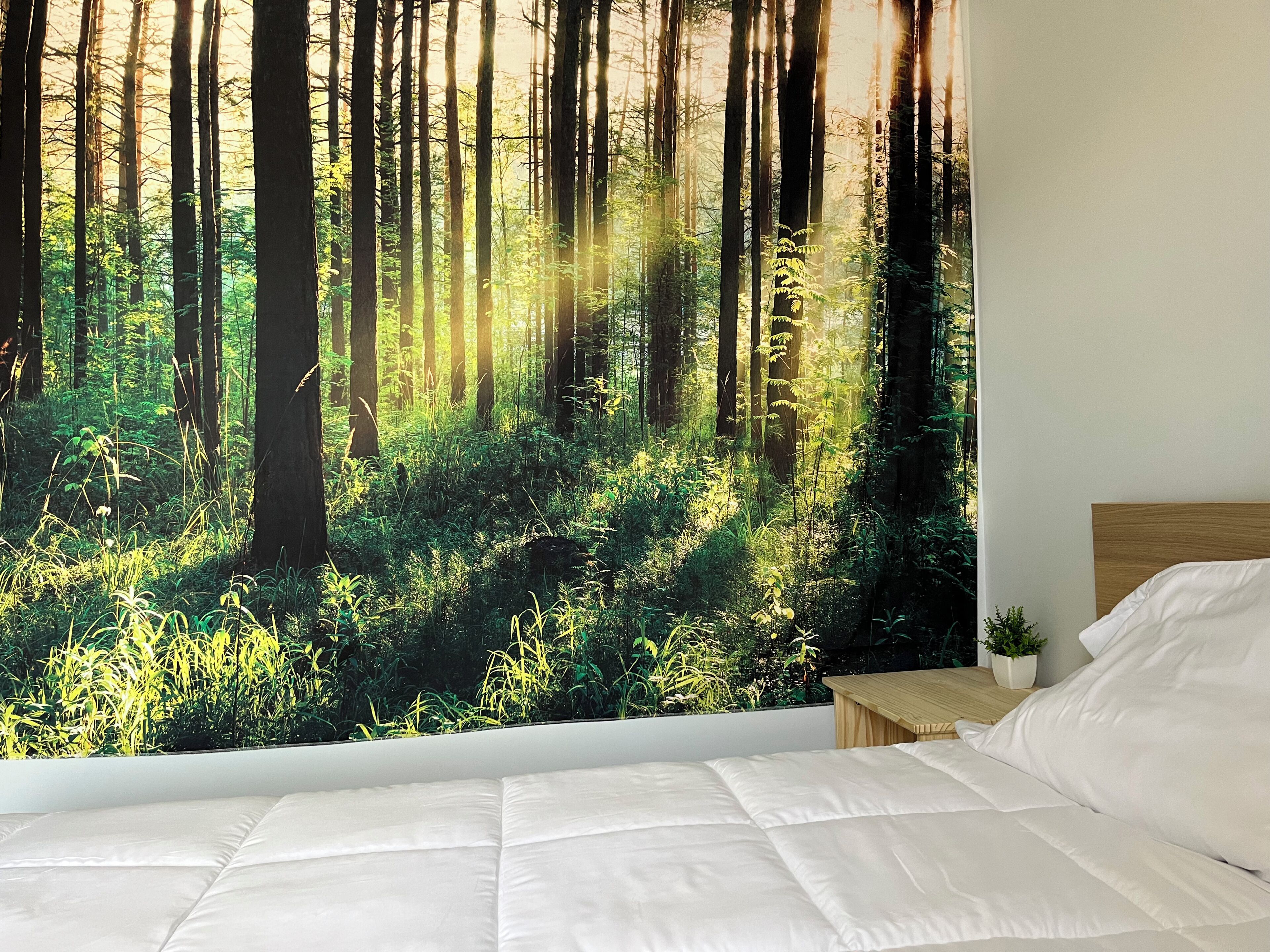 Standard Double Room, Garden View | Desk, laptop workspace, blackout curtains, soundproofing