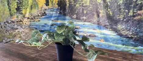 A potted plant on a wooden surface with a river and forest view in the background.