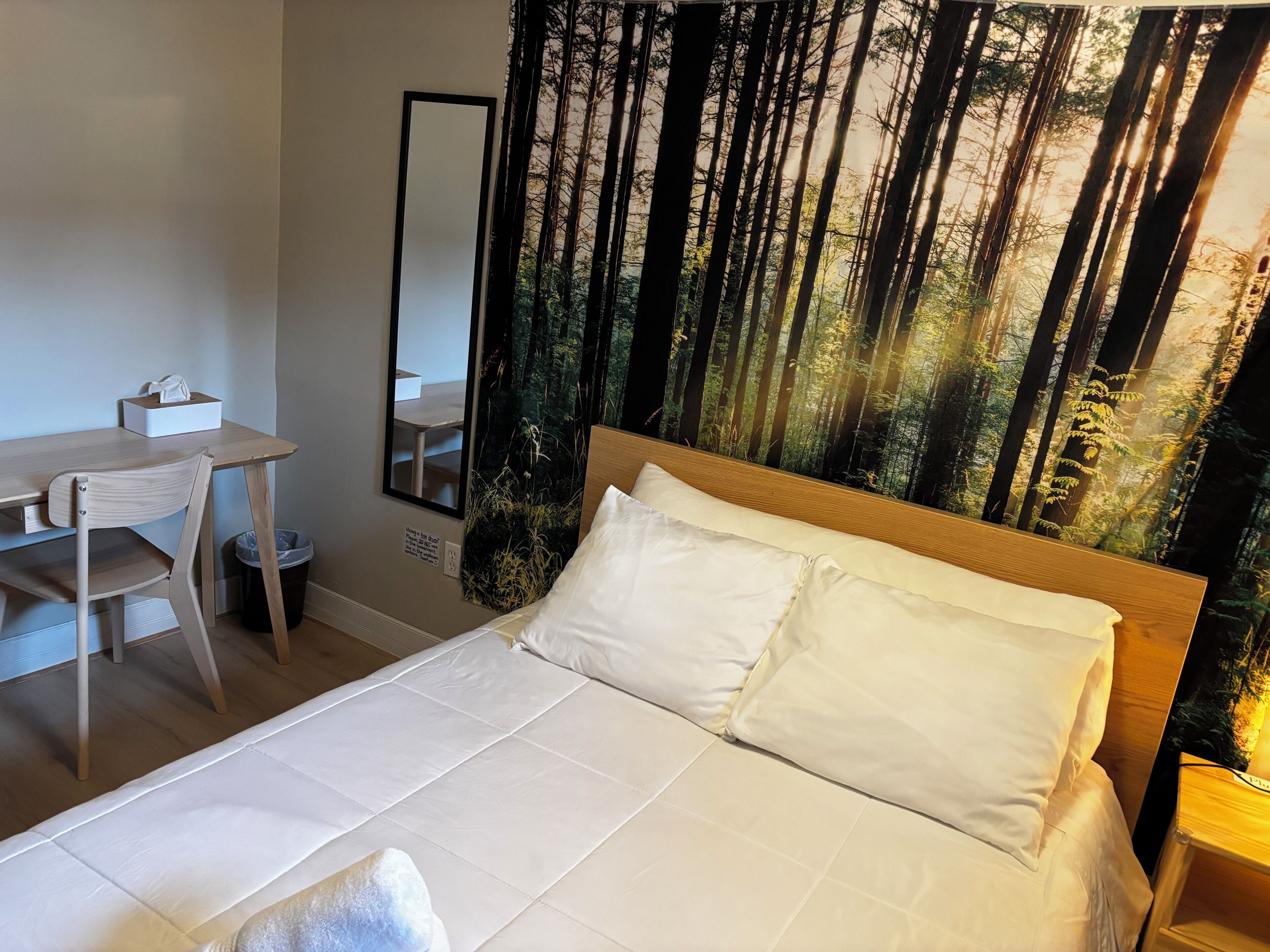 Basic Double Room | Desk, laptop workspace, blackout curtains, soundproofing