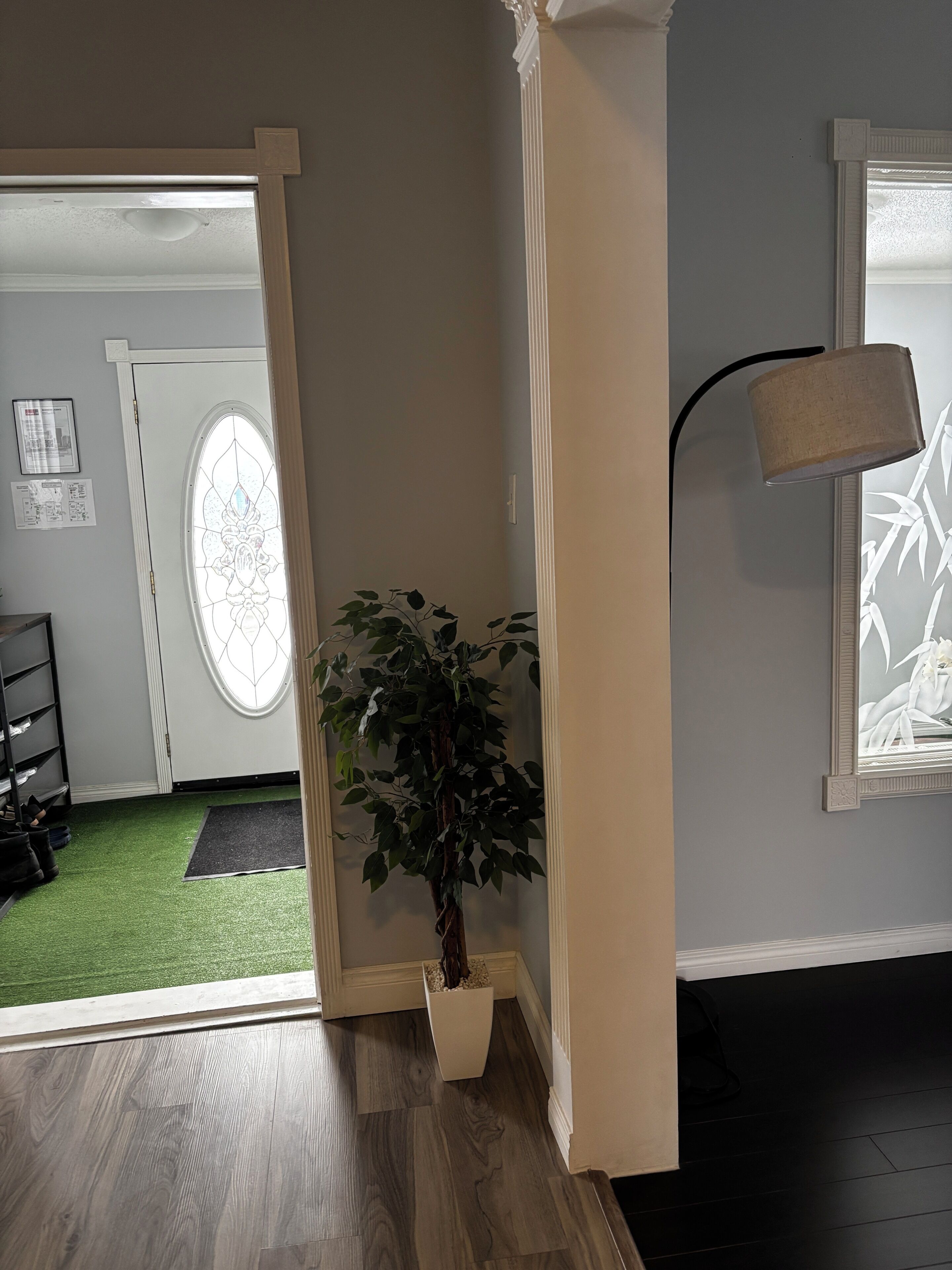 A room with a potted plant, a door with a frosted glass window, a wall-mounted lamp, and a wooden floor.