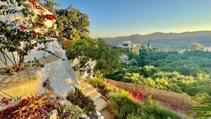 Um jardim em encosta com escadas descendo, vegetação exuberante e vista distante de uma cidade.