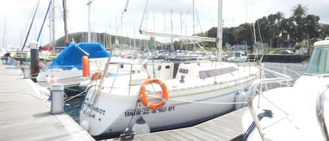 A marina with boats docked, a wooden dock, and a clear sky.