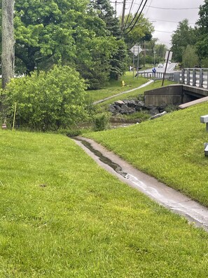 Un'area verdeggiante con un vialetto in cemento, un ponte e un idrante giallo.