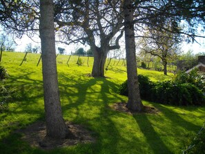 Boendeområde