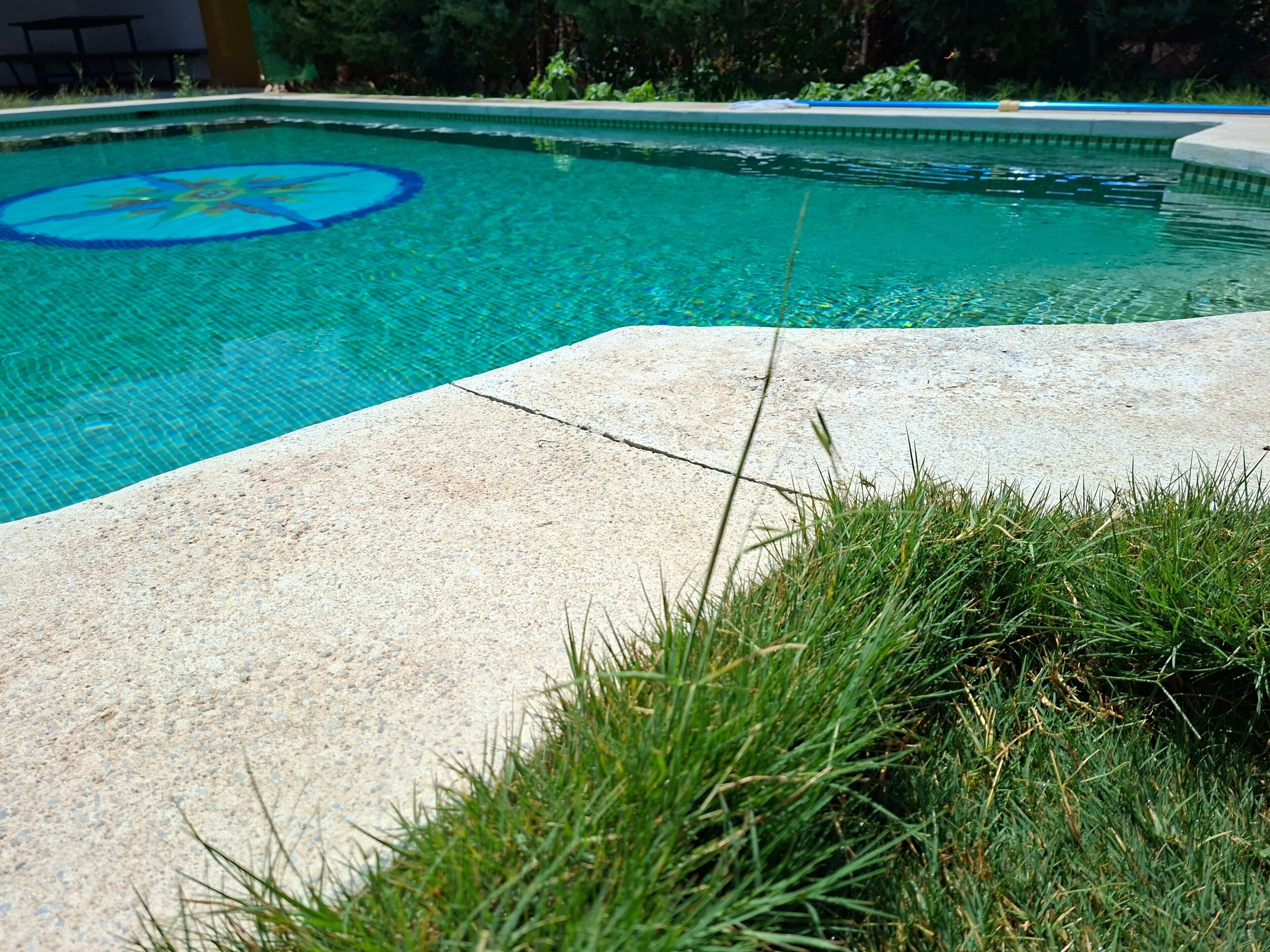 Una piscina con un diseño circular en la superficie del agua, rodeada por un borde de hormigón y césped.