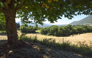Paisaje rural con un árbol en primer plano, un campo de fardos de heno y una montaña al fondo.