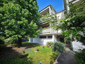 Ein Innenhof mit einem großen Baum, Blumentöpfen und einem Gebäude mit einem Balkon.