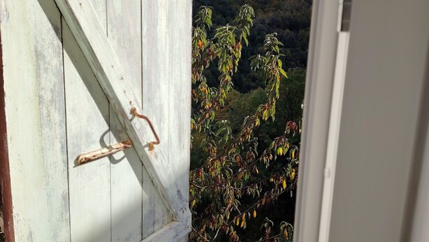 A wooden door with a metal handle, leading to a balcony with a view of a forested hillside. - Large, comfortable house with terrace overlooking the valley. (Sant'Andréa-di-Bozio)
