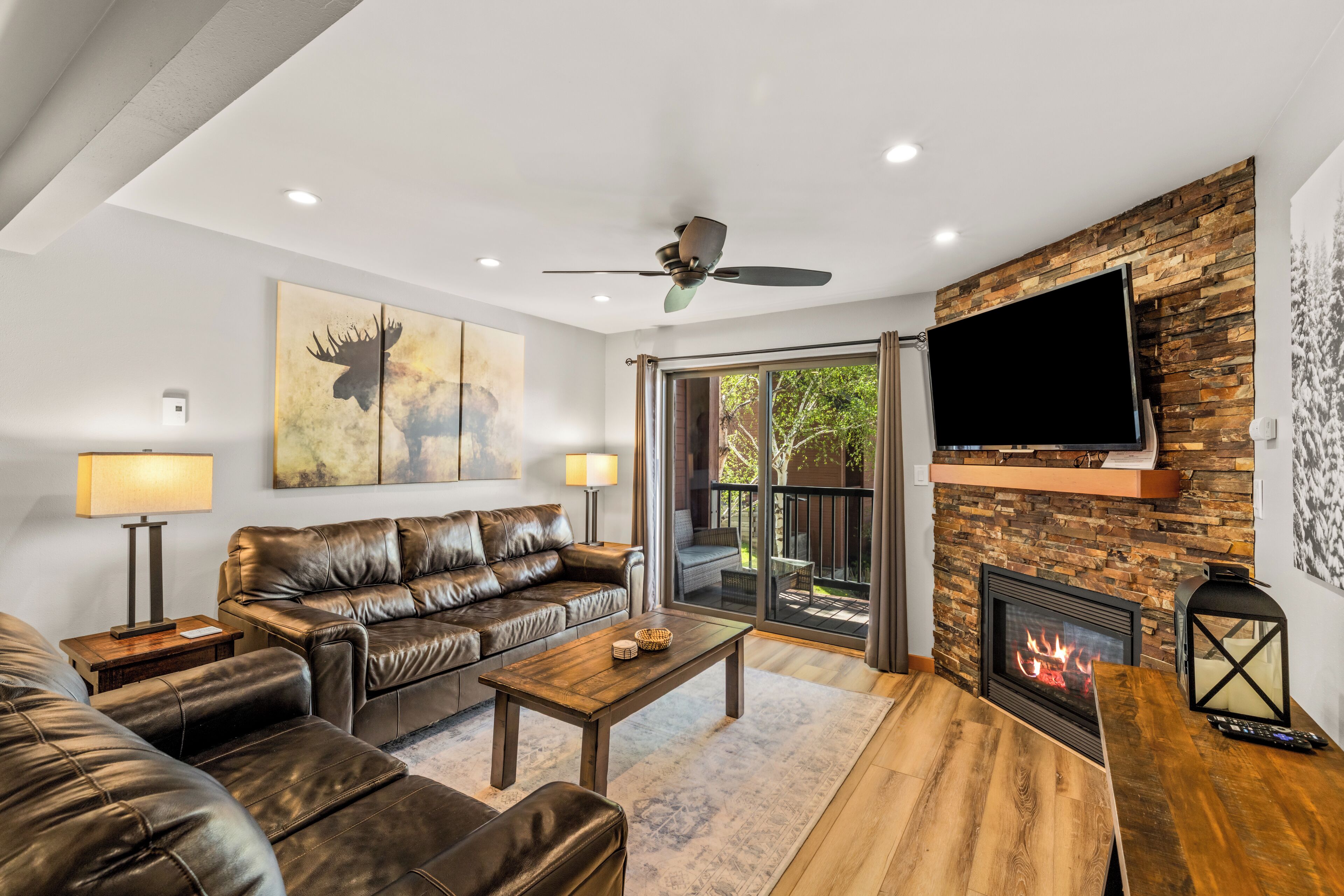 TV, fireplace