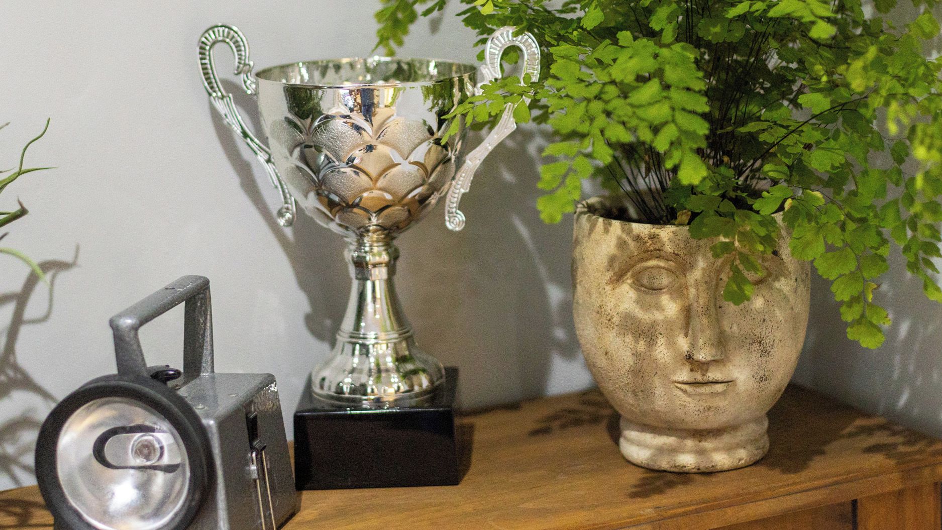 Un trophée, un appareil photo et une plante en pot, le tout posé sur une surface en bois.