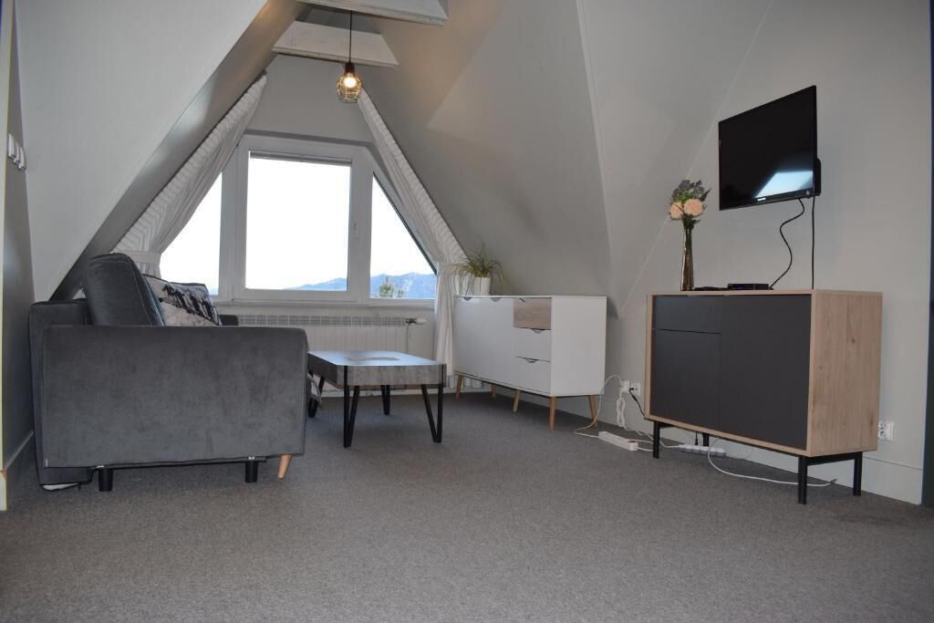 Een moderne loft slaapkamer met een schuine plafond, een groot raam, een grijze bank, een kleine tafel, een televisie op een houten standaard, en een witte dressoir.