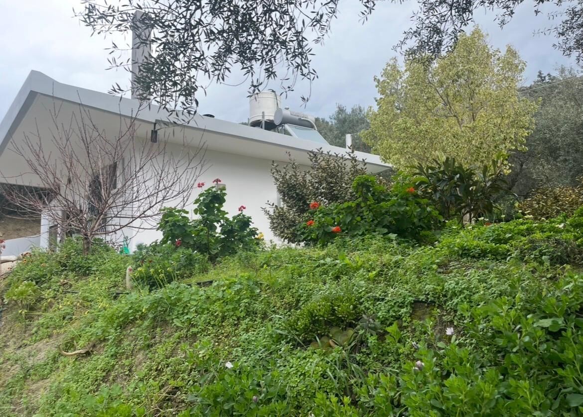 A modern building with a sloped roof, surrounded by dense greenery and flowering plants.