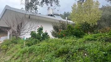 A modern building with a sloped roof, surrounded by dense greenery and flowering plants.