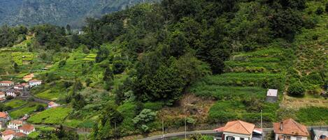 A hillside village with terraced fields, houses with red-tiled roofs, and a winding road.