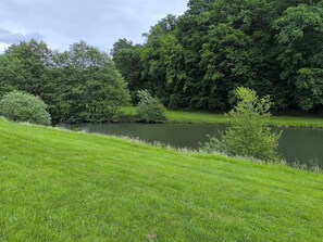 A grassy area with a body of water and dense trees in the background.