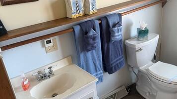 Hair dryer, towels, toilet paper