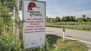 Wegwijzer met tekst en logo's, omringd door begroeiing en een weg.