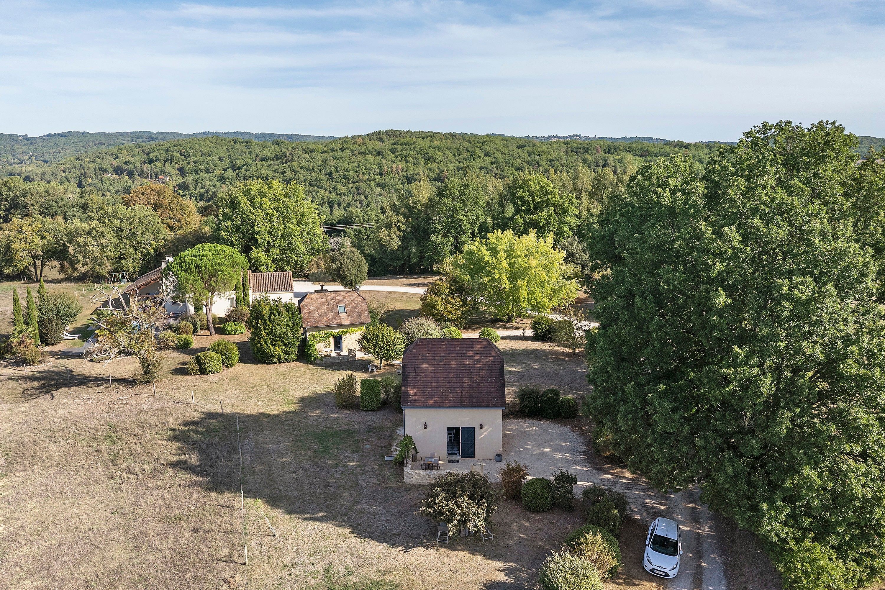 A rural property with a small house, a paved driveway, and a large tree.