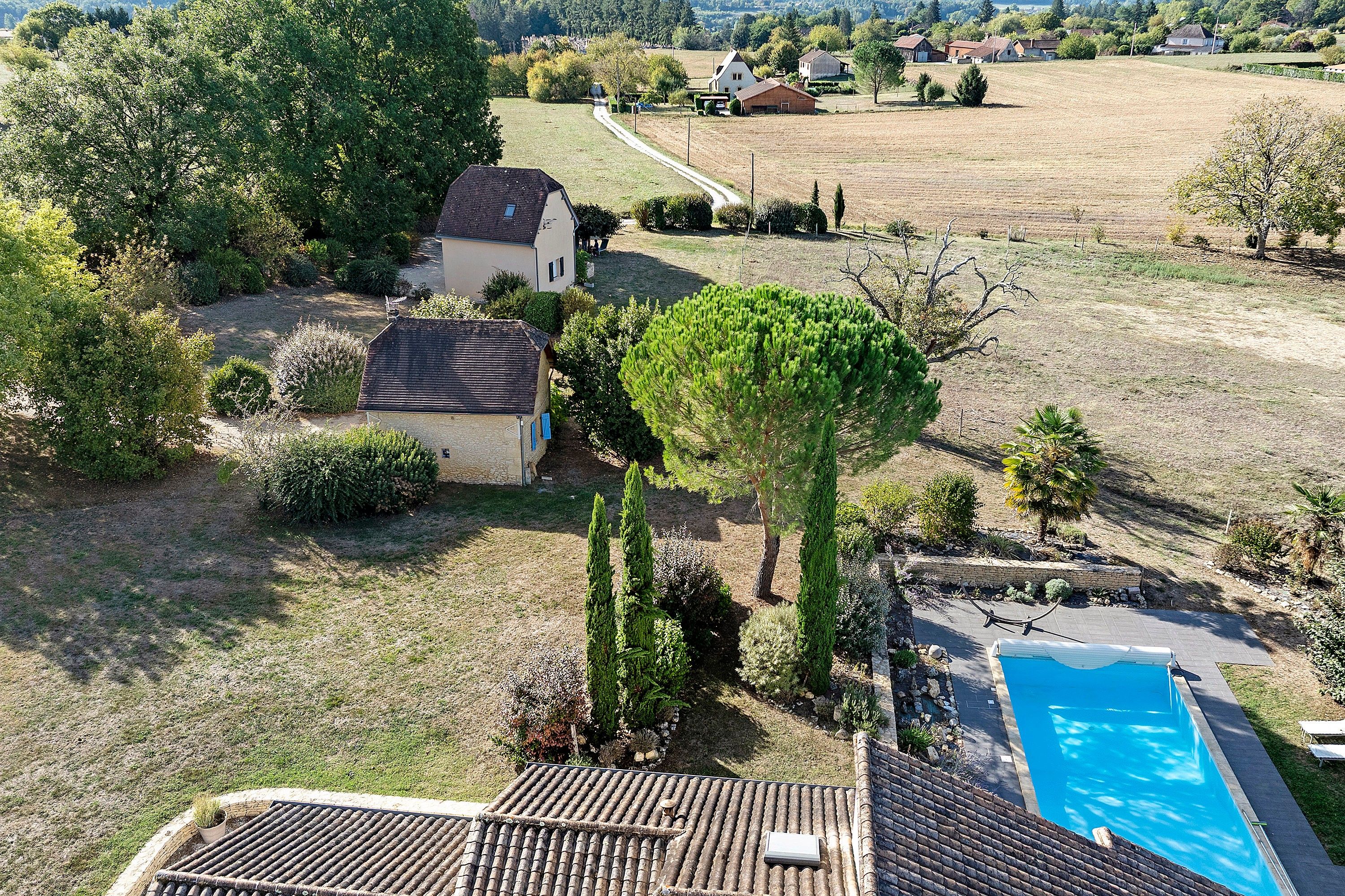Un quartier résidentiel avec une piscine, une petite maison et un grand arbre.
