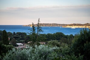 Eine Küstenlandschaft mit Blick auf das Meer, Bäume und ferne Gebäude.