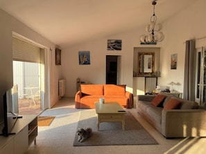 Ein Wohnzimmer mit einer Couch, einem Couchtisch, einem Fernseher und einem Hund.