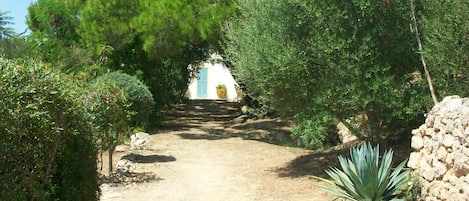 Jardines del alojamiento