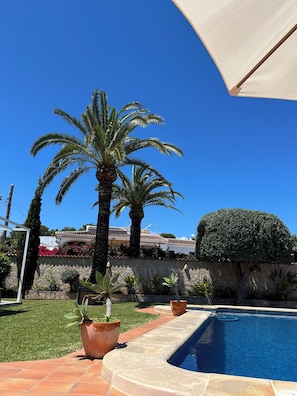 Ein Pool mit gefliestem Deck, Palmen und einer Steinmauer.