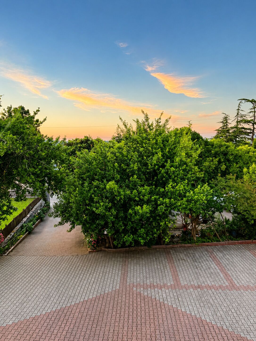 A paved walkway with a brick pattern, surrounded by lush green trees and a clear sky.