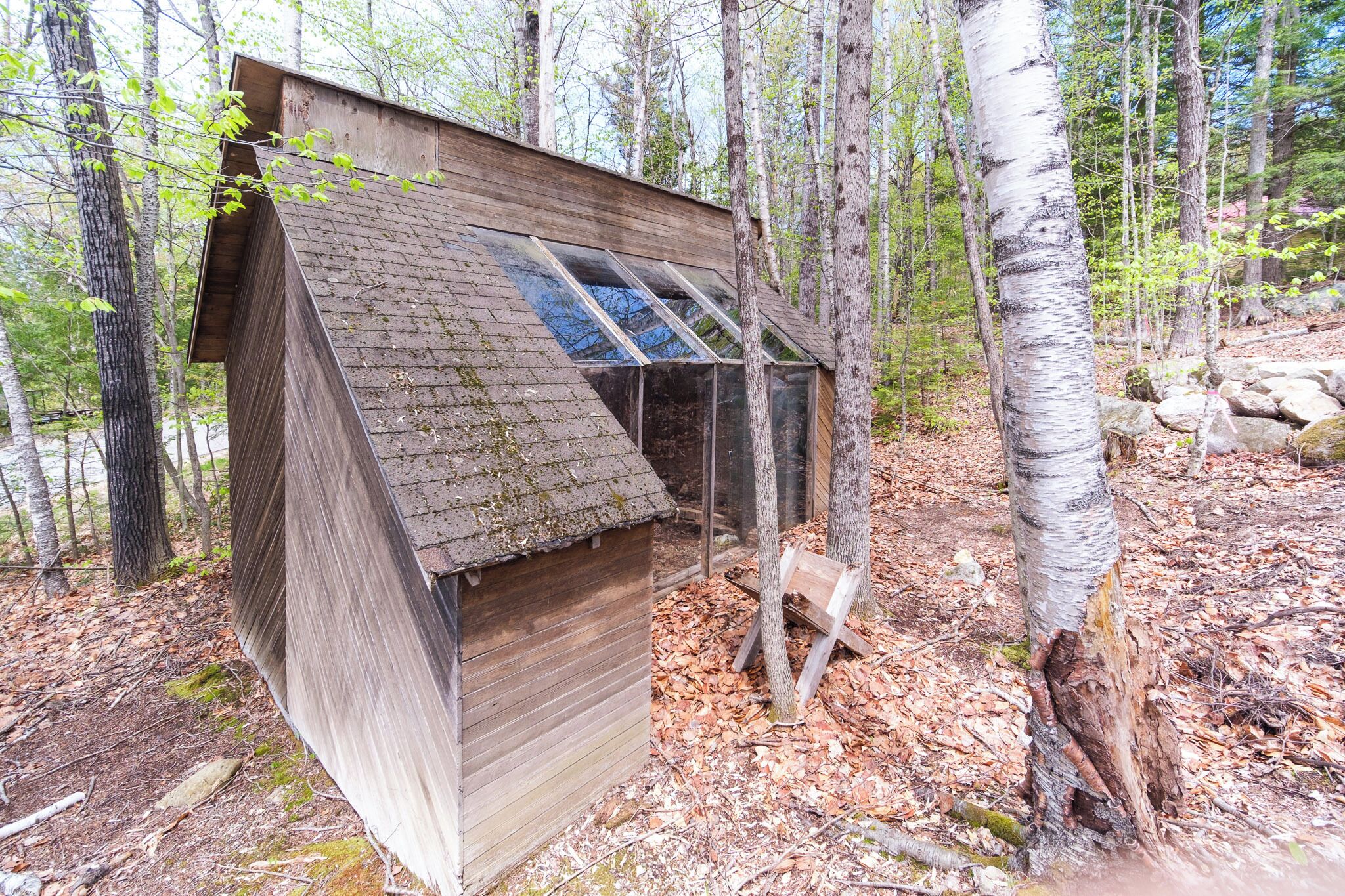 A wooden birdhouse with a sloped roof and a window, surrounded by trees and forest floor.
