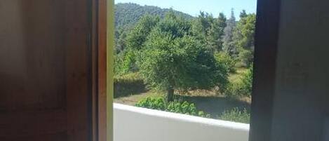 A room with a wooden door, a tiled floor, and a view of a road and greenery outside.