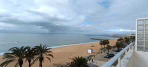 Une vue sur la plage, avec un rivage sablonneux, des palmiers et une jetée qui se dessine au loin.