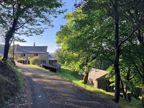 Ein Feldweg führt zu einem Steinhaus mit einem Strohdach, umgeben von Bäumen und Grün.