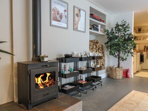 A modern living room with a wood-burning stove, shelves with toiletries, and a large potted plant. - Denmark House (Chatham)