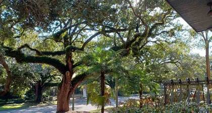 Stay in the Heart of Midtown Mobile | Pet Friendly