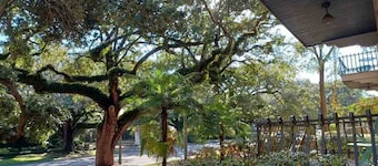 Stay in the Heart of Midtown Mobile | Pet Friendly
