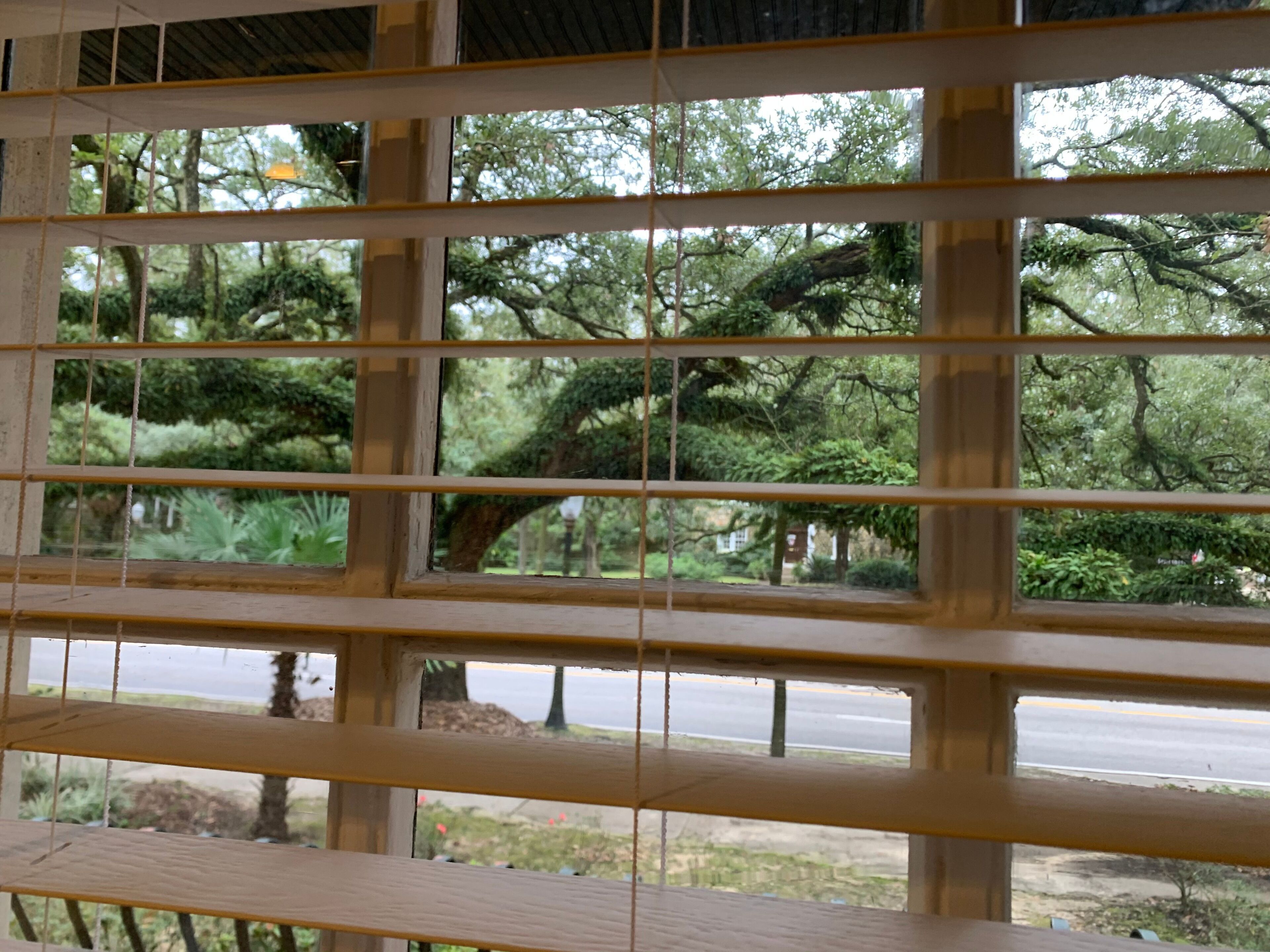 A view through a window with a grid pattern, revealing a road and greenery outside.