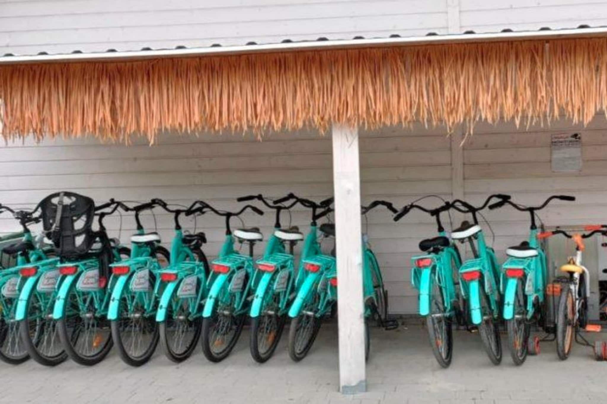 A row of bicycles parked under a thatched roof structure.