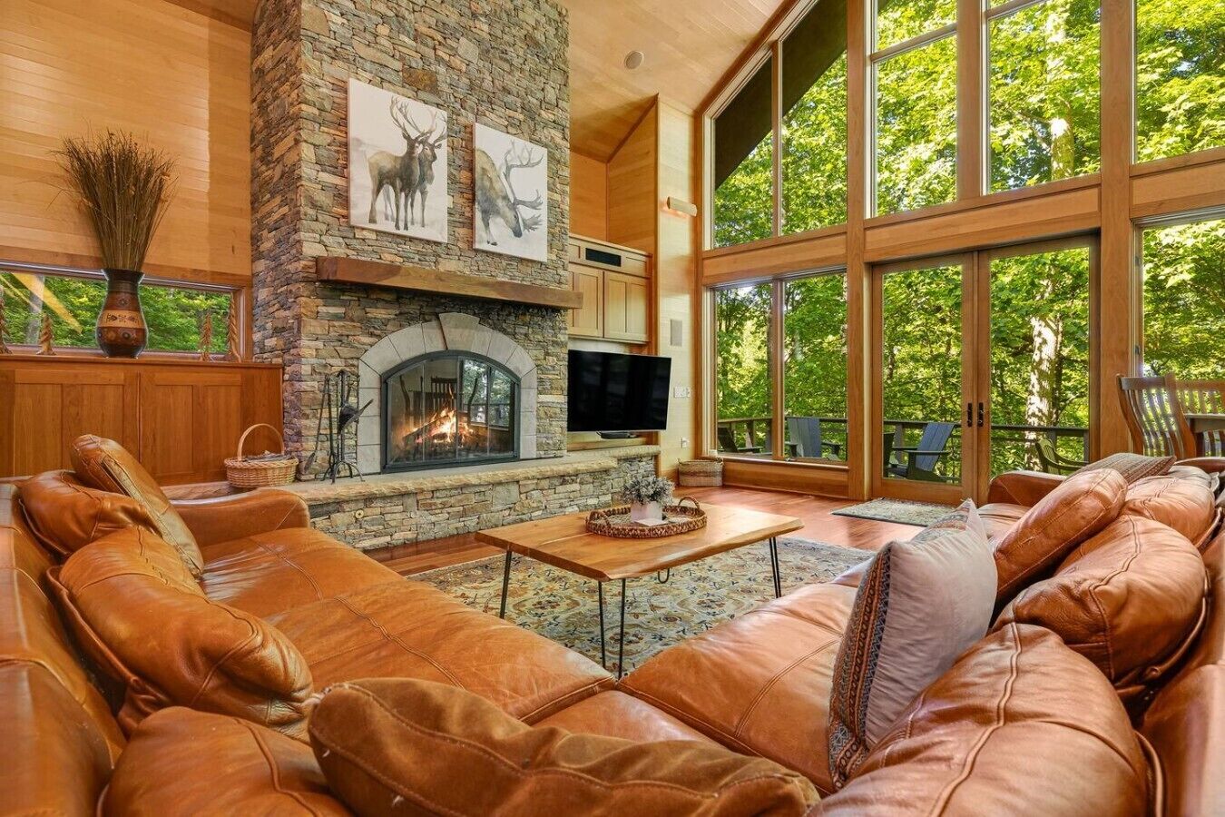 TV, fireplace, ping pong