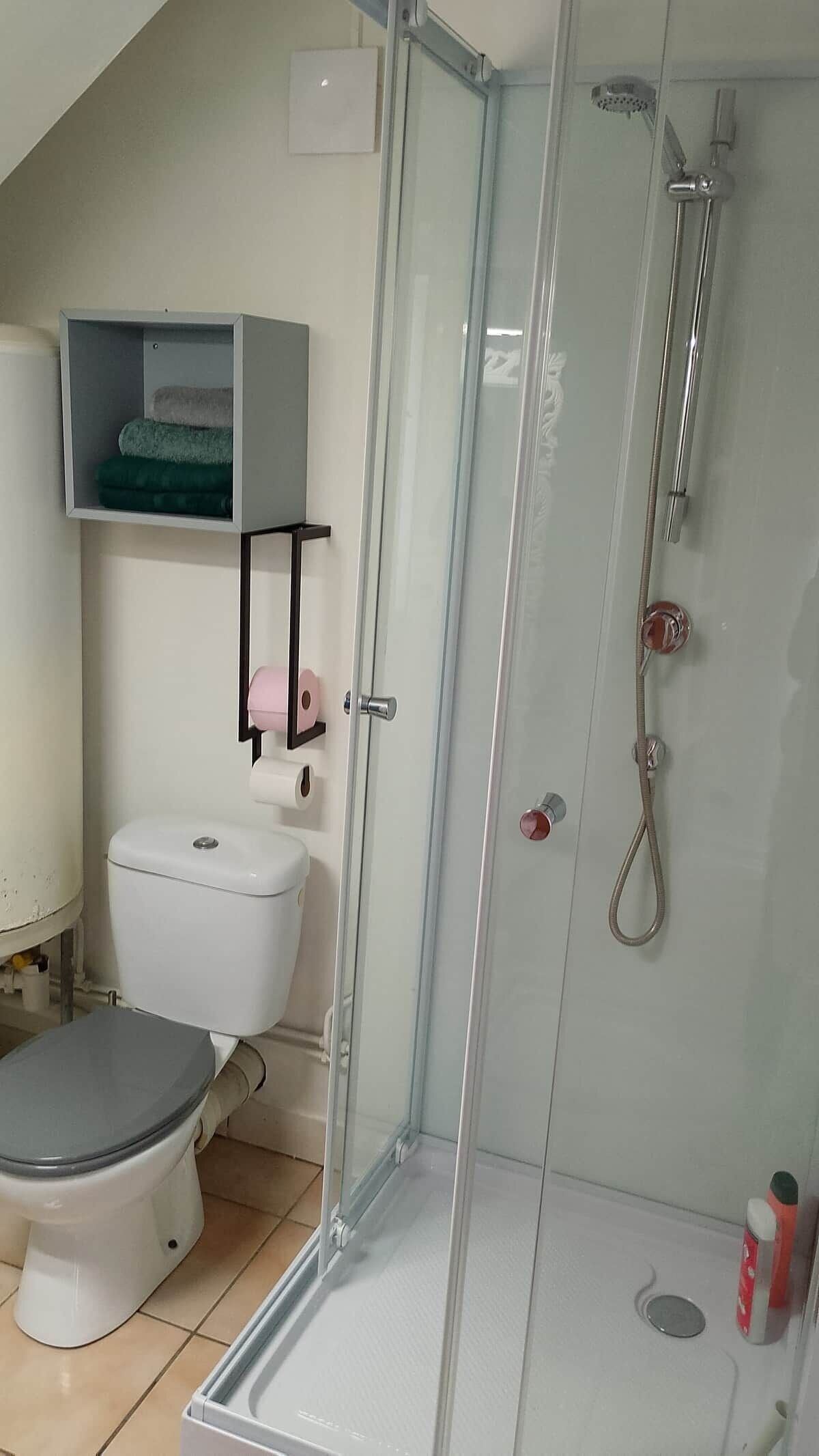Shower, soap, toilet paper