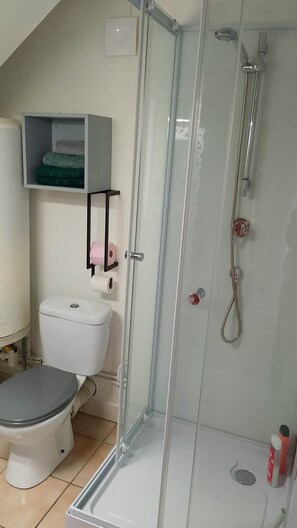 A bathroom with a toilet, a glass-enclosed shower, and a shelf with towels. - Au Pied du Château, the Charm of Heritage (Vizille)
