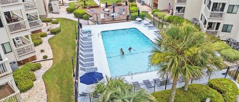 A swimming pool surrounded by a deck with lounge chairs, palm trees, and a view of apartment buildings.