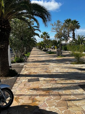 A paved pathway lined with palm trees and greenery, leading to a building with a white facade. - Casa Brisol Riviera delle Palme – Cozy Apartment Steps from the Beach (San Benedetto del Tronto)