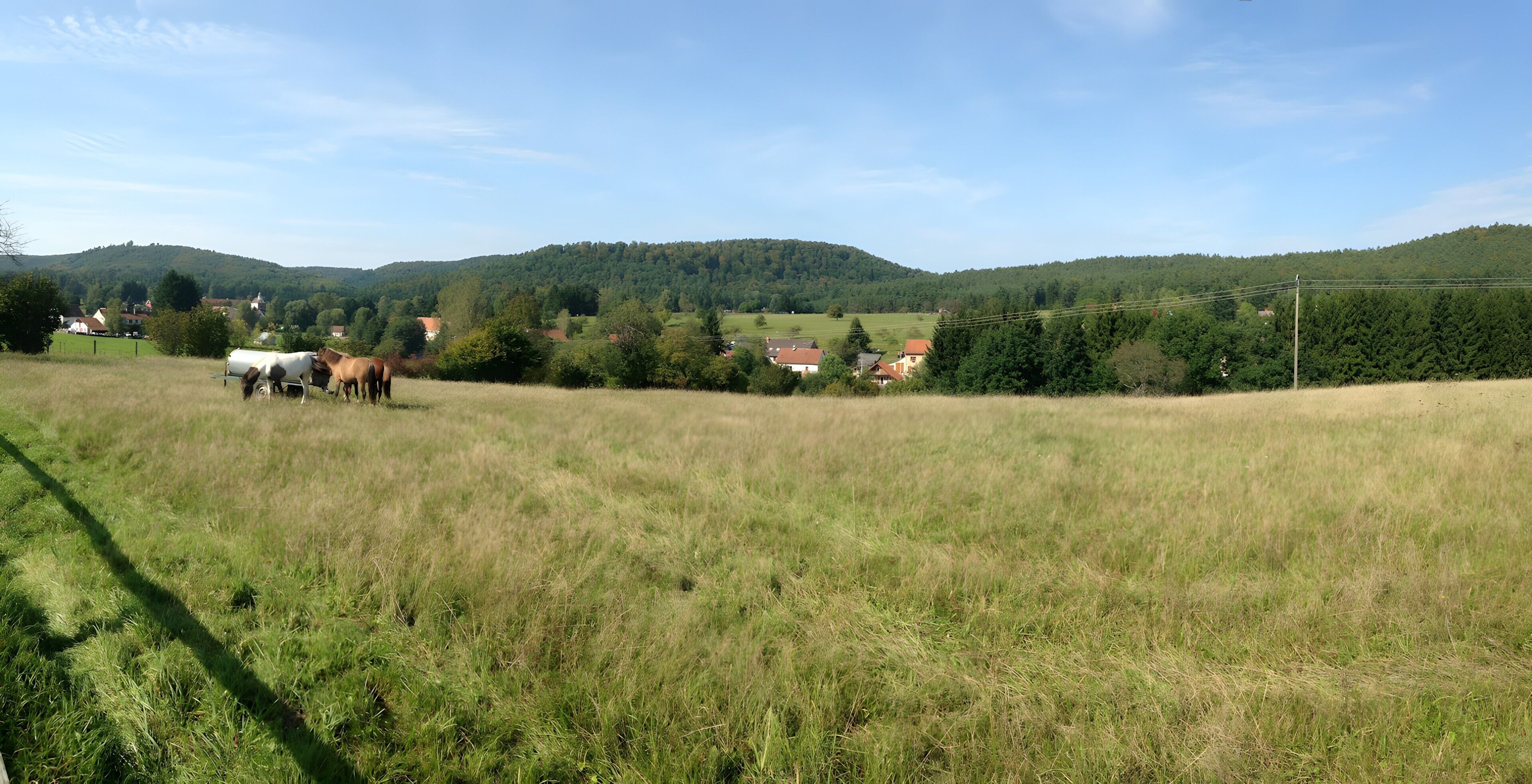 Paisaje rural con un campo, algunas vacas y casas al fondo.