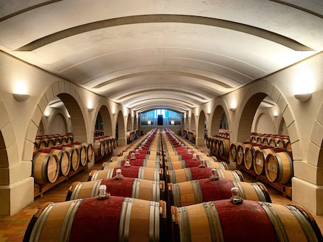 A wine cellar with rows of wooden barrels, arched ceilings, and a central aisle.. La Closerie des Vignes – Vignobles Chatonnet: Tuscan Villa in the Heart of the Vineyards