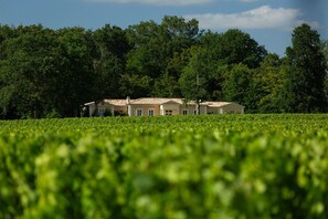 A building with a tiled roof, surrounded by a lush green field and dense trees.